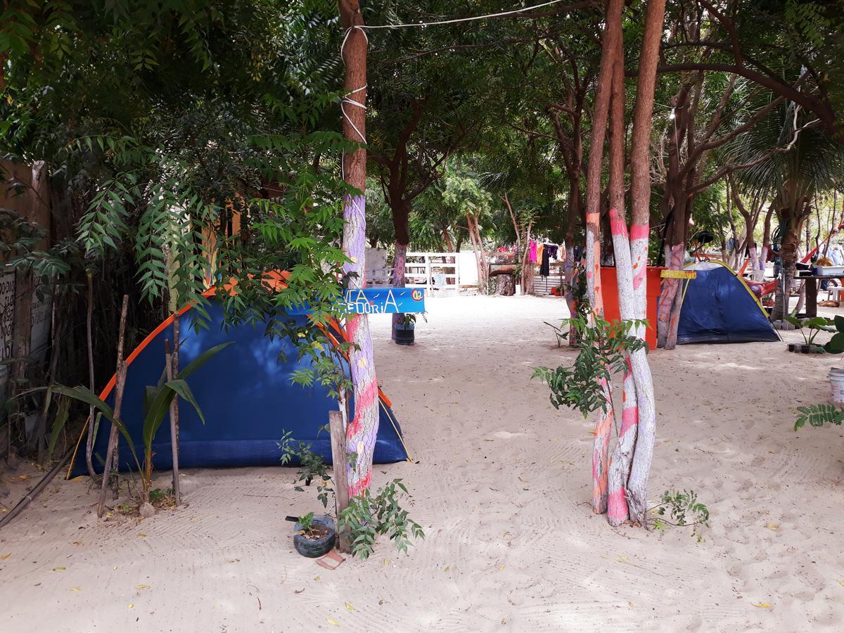 Camping&Hostel Tô a Toa Jijoca de Jericoacoara Ngoại thất bức ảnh